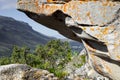 Rugged mountain landscape with fynbos flora in Cape Town