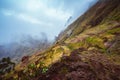 Rugged mountain peak overgrown with verdant grass and encase by the fog. Some plants growing in foreground. Xo-Xo Valley