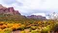 Rugged Mountains along the Salt River in central Arizona in the United States of America