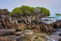 Cape york tip, rugged rocks and trees, anchored agains the huge currents at the tip of cape york australia