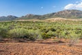 Rugged outback scenery surrounding the Wilpena Pound region of the Flinders Ranges