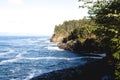 Rugged Pacific Northwest Coastline in Morning Light Royalty Free Stock Photo