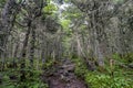 Jewell Trail 18 - Mount Washington Royalty Free Stock Photo