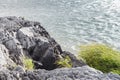 Rugged rock cliff with green weeds or sedge summer sunny landscape stormy azure river background