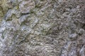 Rugged rock texture at miura kanagawa in japan