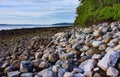 Rugged rocky shore of the coast of Maine at low tide Royalty Free Stock Photo