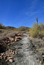 Nature hiking trail leading through Arizona desert