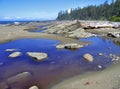 West Coast Trail, Pacific Rim National Park, Cribs Creek at Dare Beach, Vancouver Island, British Columbia Royalty Free Stock Photo