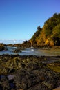 Rugged seaside with rocks and trees at Port Macquarie Australia