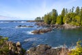 Rugged shoreline at wild pacific trail in Ucluelet, Vancouver Island, Canada Royalty Free Stock Photo