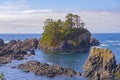 Rugged shoreline of wild pacific trail in Ucluelet, Vancouver Is Royalty Free Stock Photo