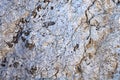 Rugged stone background Royalty Free Stock Photo