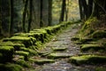 Rugged Stone road green forest. Generate Ai Royalty Free Stock Photo