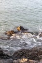 rugged stony surf along coast line Royalty Free Stock Photo