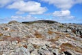 Rugged terrain in Newfoundland Royalty Free Stock Photo