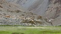 The rugged terrains of Ladakh, a group of riders embarks on an adventurous