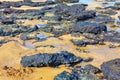 Rugged volcanic rocks at the coast