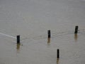 Ruhr river near Hattingen and Bochum in Germany during the July floods in 2021. Meadows, pastures and fields are under water,