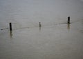 Meadows, pastures and fields are under water, only the fence posts and upper wires stick out. The flood has sunk a bit