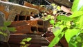 Ruin abandoned on the dolomites Royalty Free Stock Photo