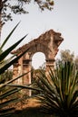 Ruin abandoned old building gate with Sisal agave plant