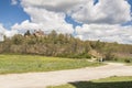 Ruin of  Abbey San Galgano - Toscany, Italy Royalty Free Stock Photo