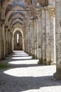 Ruin of  Abbey San Galgano - Toscany, Italy Royalty Free Stock Photo