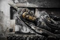 Ruin of Ayutthaya Buddha sculpture Royalty Free Stock Photo
