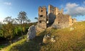 Zřícenina hradu Hrušov