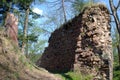 Ruin in the forest