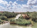 Ruin of the Guadalquivir mills, the Albolafia water mill from the Roman Bridge of Cordoba Royalty Free Stock Photo