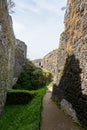 Ruin of medieval gothic castle Trosky