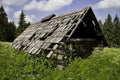 Ruin of an old hay-barn in Demanovska valley in Slovakia.