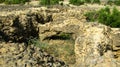 Ruin of old historic Archaeological excavations at Adulis, Eritrea