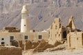 Ruin of an old mud brick fortress and a village mosque, near the city of Seiyun, Yemen
