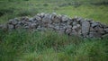 Ruin of old rough stone wall standing in field surround with tall grass