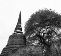 Ruin pagoda