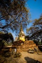 The ruin pagoda at Wat Phra Si Sanphet