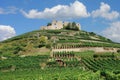 Ruin of Staufen Castle,Black Forest,Germany Royalty Free Stock Photo