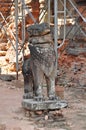 Ruin stone lion at Lolei Temple, Cambodia Royalty Free Stock Photo