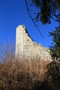 Ruin of wall of castle Castel Romano Royalty Free Stock Photo