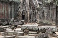 Ruin and wall pieces in Ta Prohm