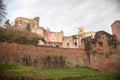 Ruine Hardenburg Royalty Free Stock Photo