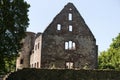 Ruine Schoenrain im Spessart