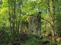 A ruined ancient stone building surrounded by green forest trees in bright sunlight originally called staups mill