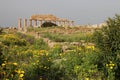 ruined ancient temple - selinunte - italy Royalty Free Stock Photo