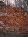 Ruined brick wall of a medieval castle, beautiful sunset colors in spring Royalty Free Stock Photo