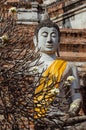 Ruined Buddha Sculpture (Ayutthaya, Thailand)