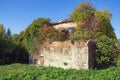 Ruined building. Abandoned house overgrown with green trees against blue sky on sunny day Royalty Free Stock Photo