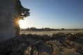 Ruined buildings walls at sunrise. Starburst from sun seen. Horizontal image.